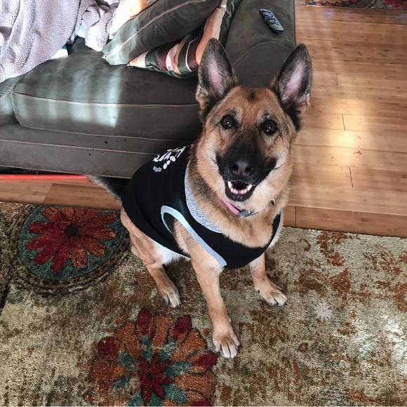 Problem Child Dog tee - Picture 3 of 4